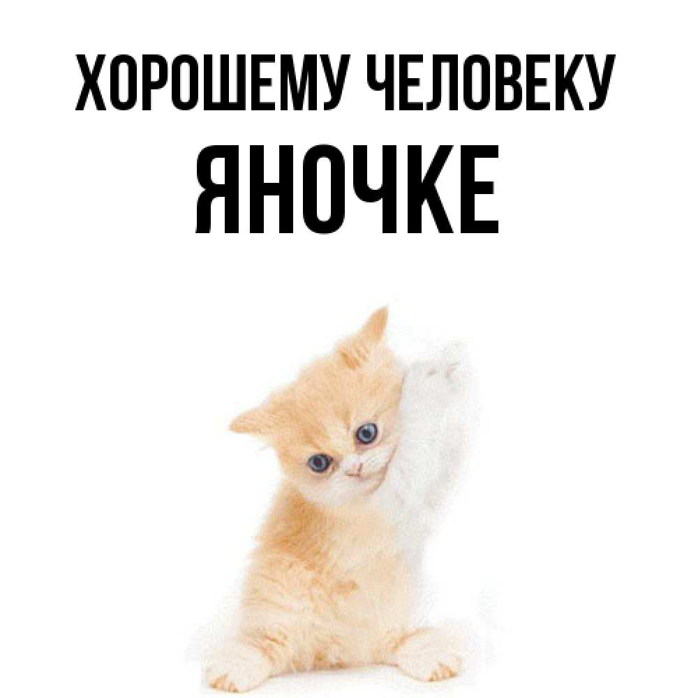 Открытка  с именем. яночке, Хорошему человеку  