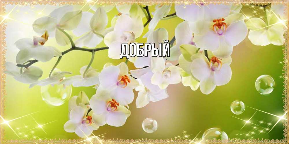 Открытка  с именем. Добрый, Главная  