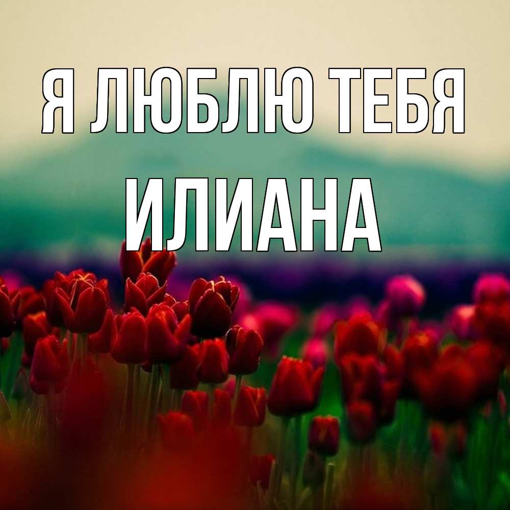 Открытка  с именем. Илиана, Я люблю тебя  