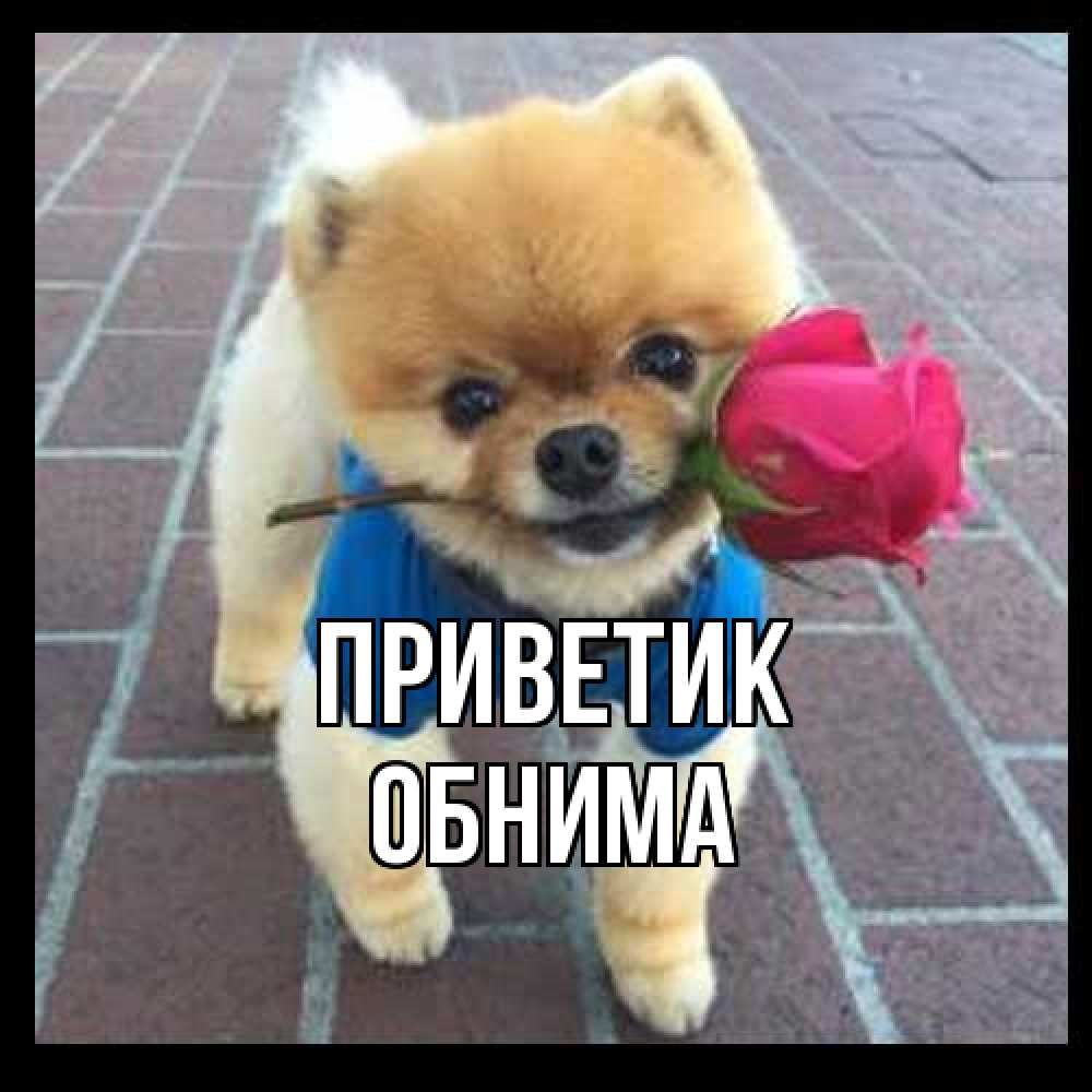 Открытка  с именем. Обнима, приветик  