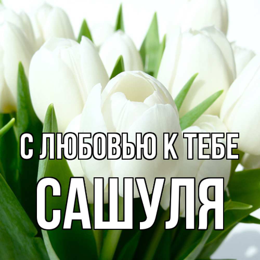 Открытка  с именем. Сашуля, С любовью к тебе  