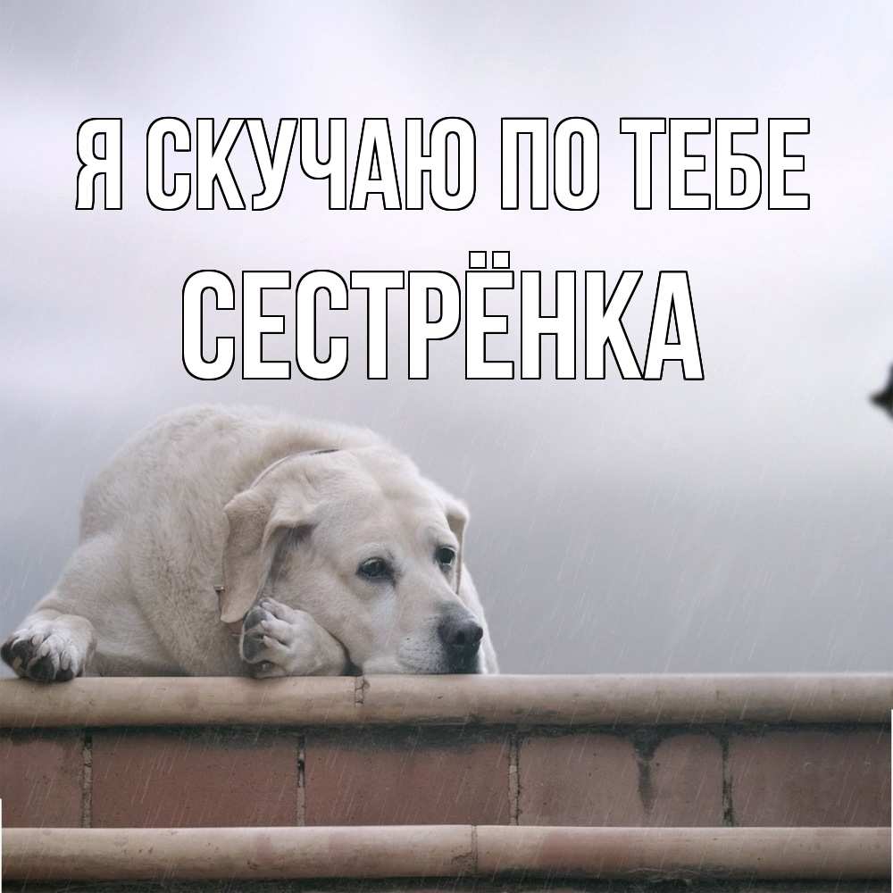 Открытка  с именем. Сестрёнка, Я скучаю по тебе  