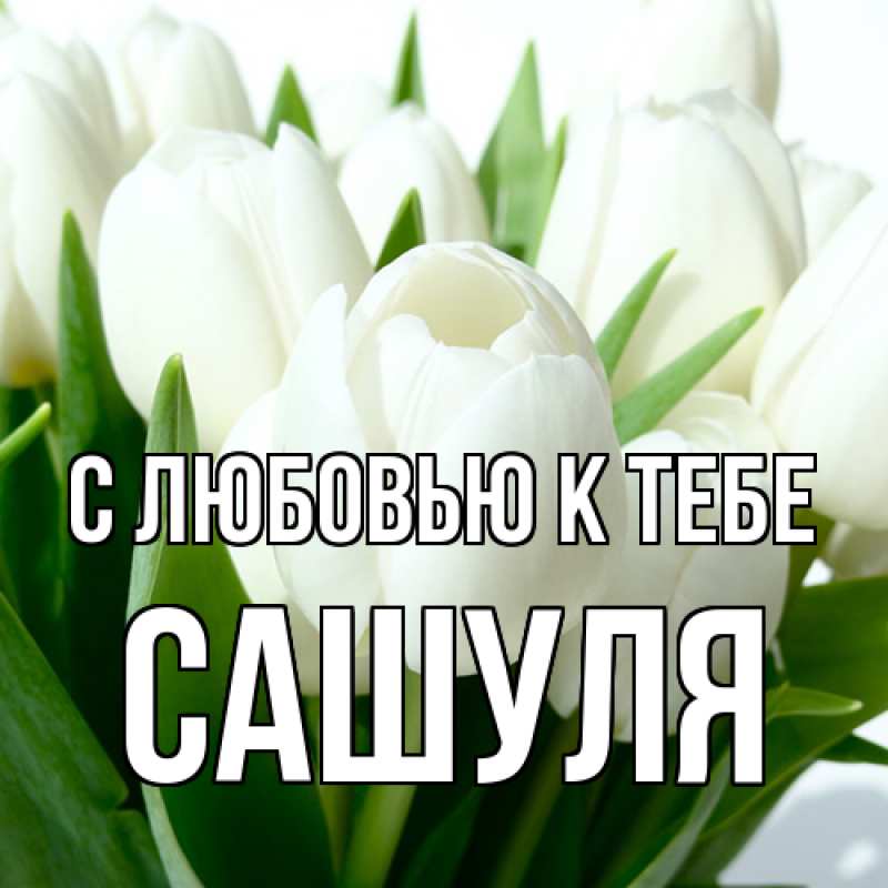 Картинка С любовью к тебе, Сашуля