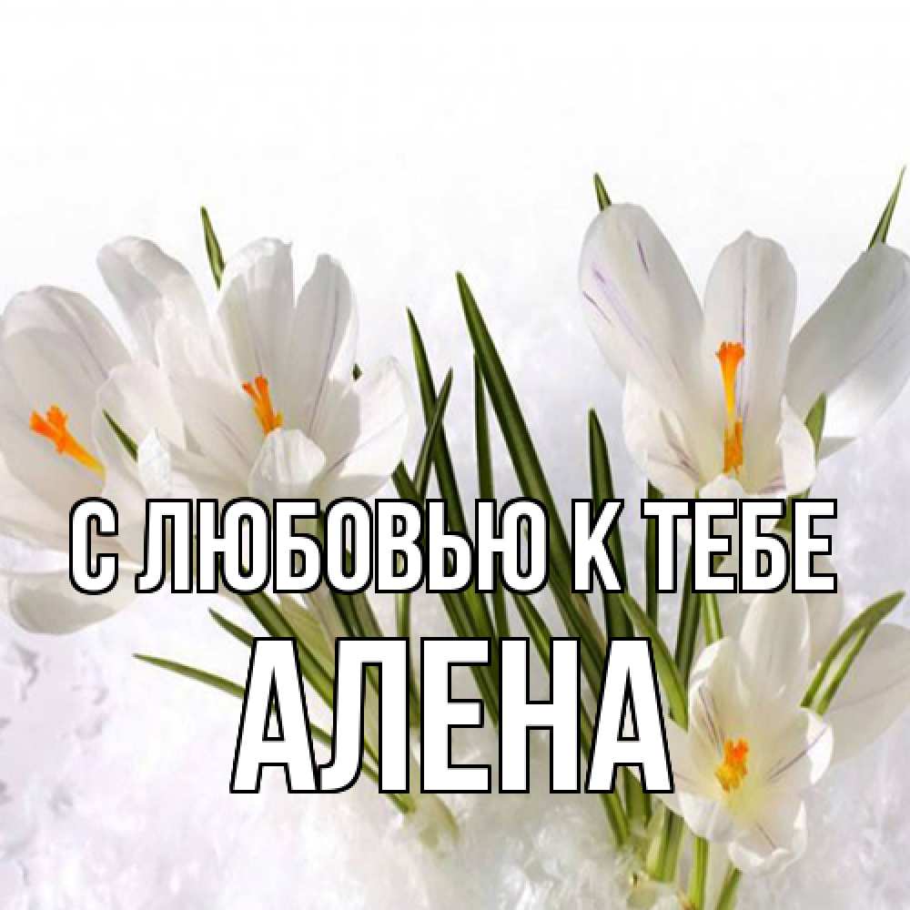 Открытка  с именем. Алена, С любовью к тебе  