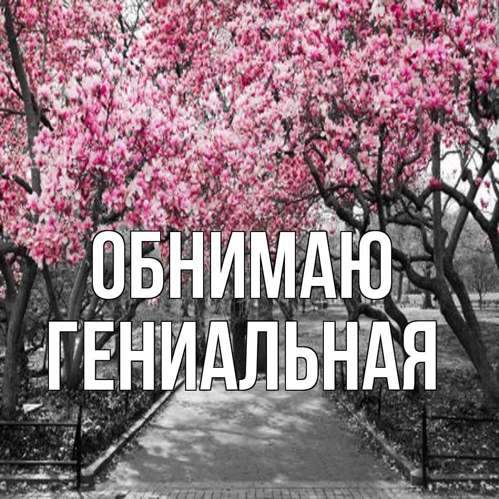 Открытка  с именем. Гениальная, Обнимаю  