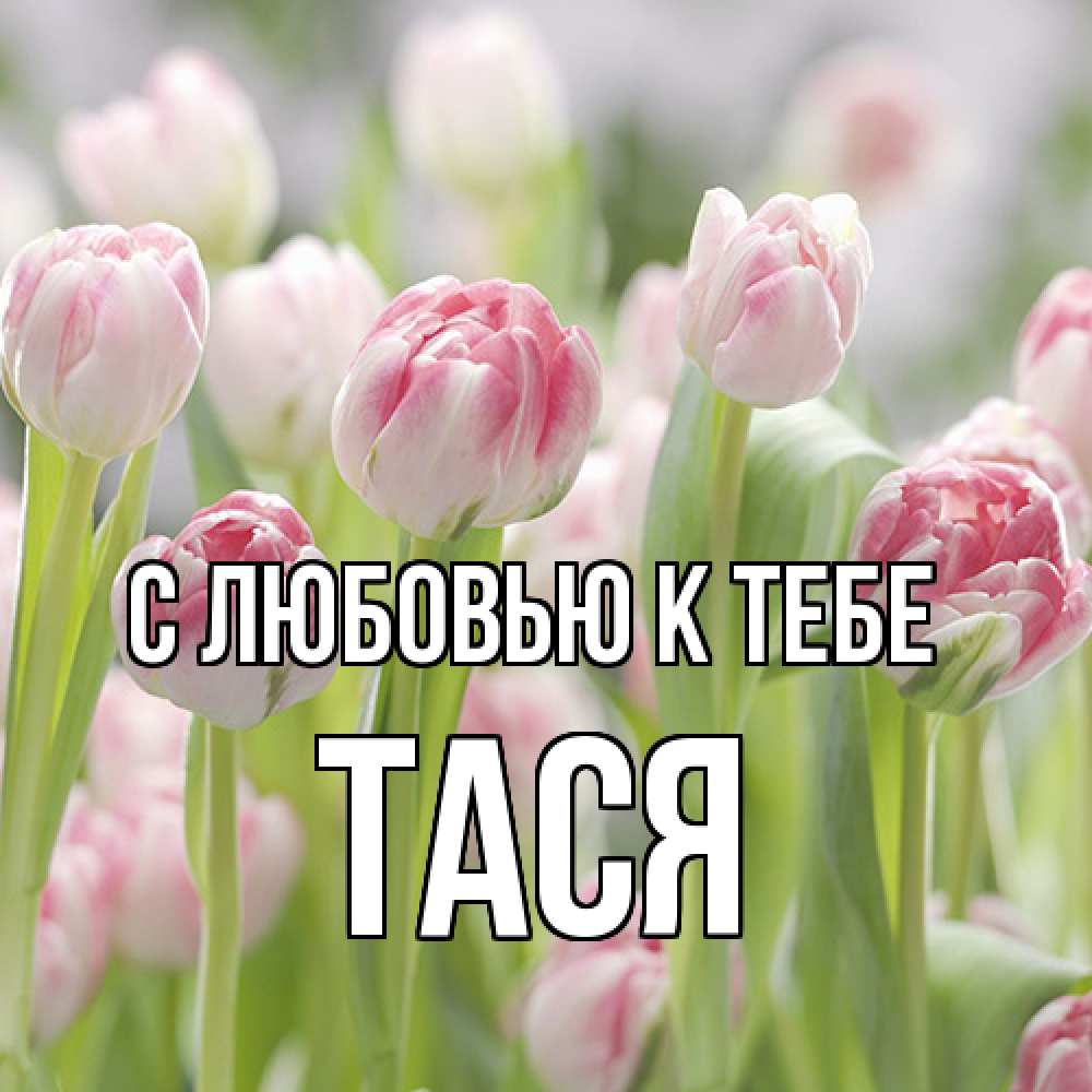 Открытка  с именем. Тася, С любовью к тебе  