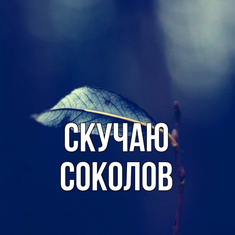 Картинка Скучаю, Соколов