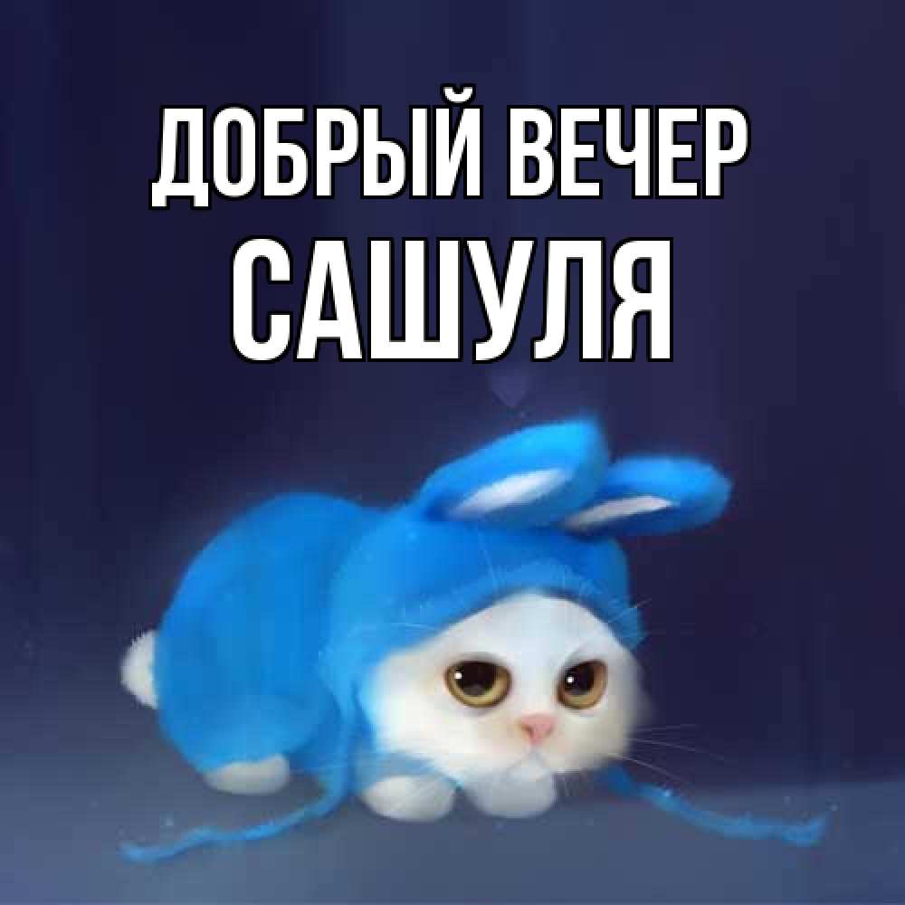 Открытка  с именем. Сашуля, Добрый вечер  