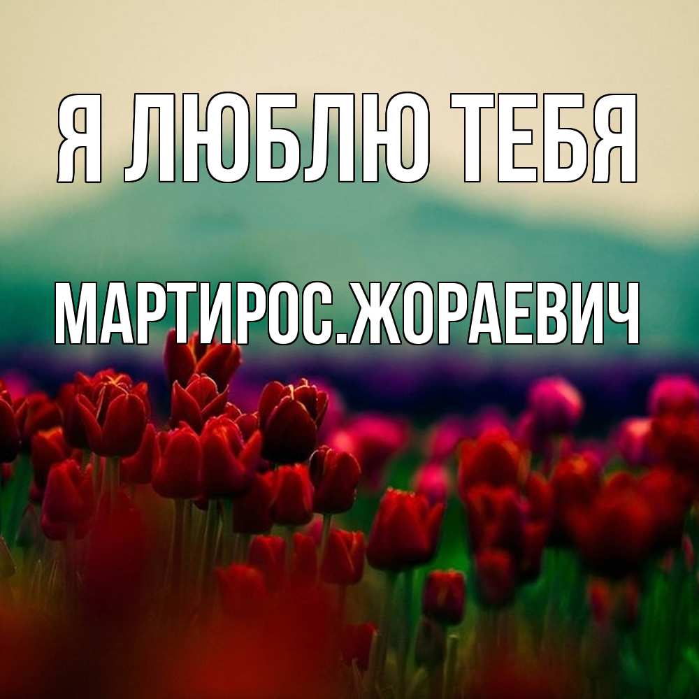 Открытка  с именем. Мартиросжораевич, Я люблю тебя  