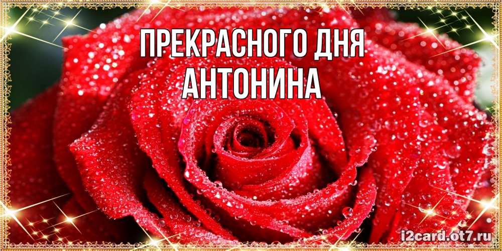 Открытка  с именем. Антонина, Прекрасного дня  