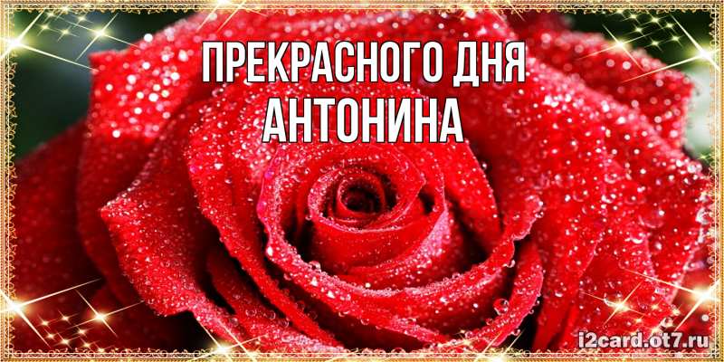 Картинка Прекрасного дня, Антонина