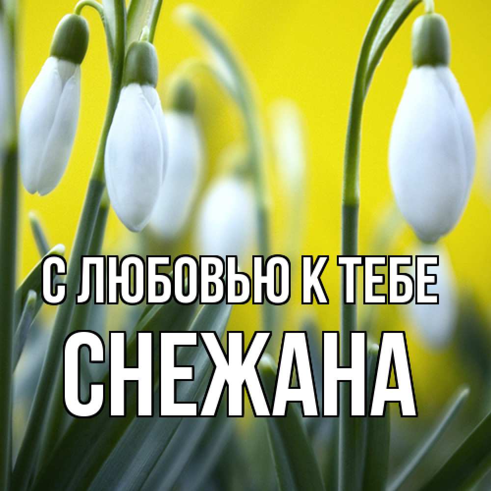Открытка  с именем. Снежана, С любовью к тебе  