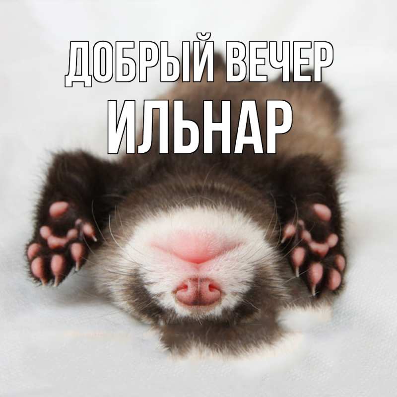 Картинка Добрый вечер, Ильнар
