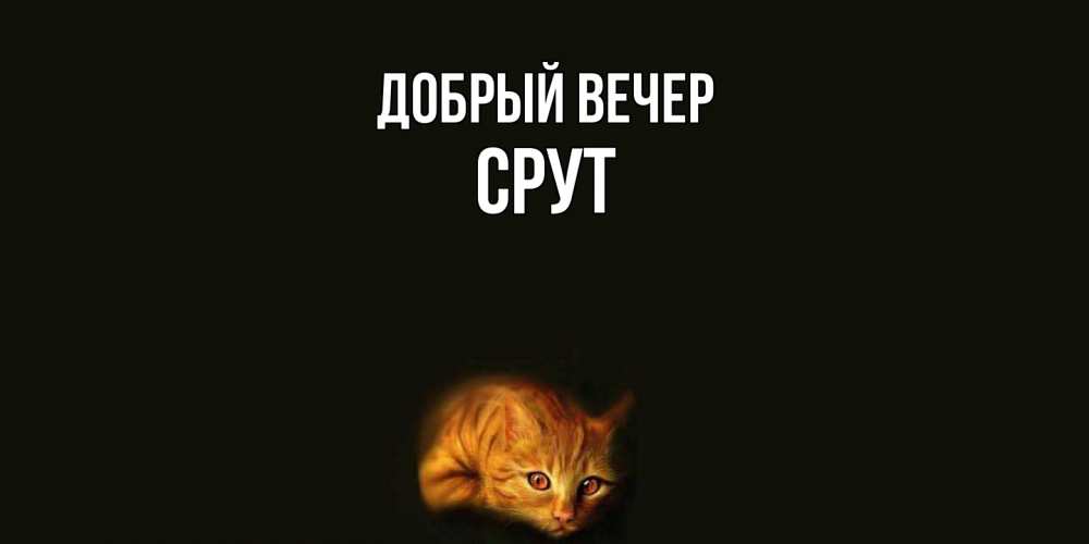 Открытка  с именем. срут, Добрый вечер  