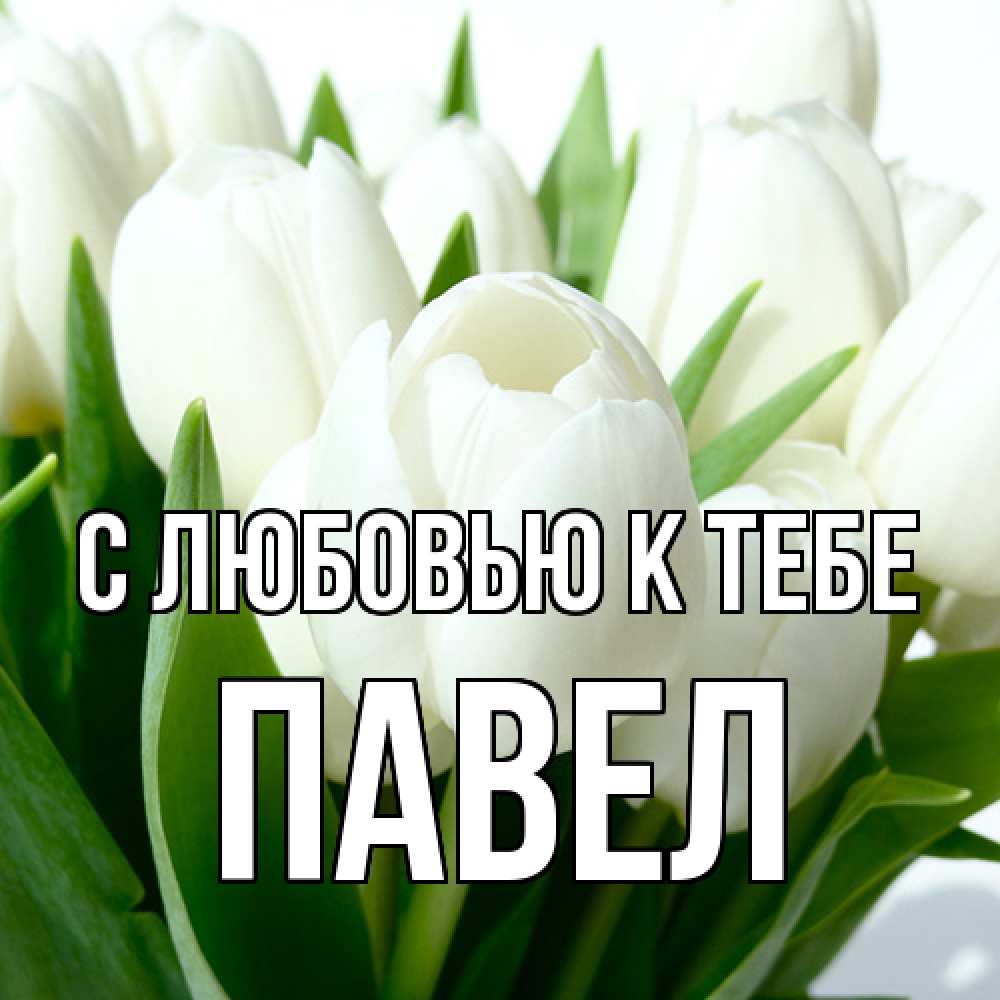 Открытка  с именем. Павел, С любовью к тебе  