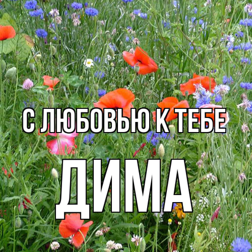 Открытка  с именем. Дима, С любовью к тебе  