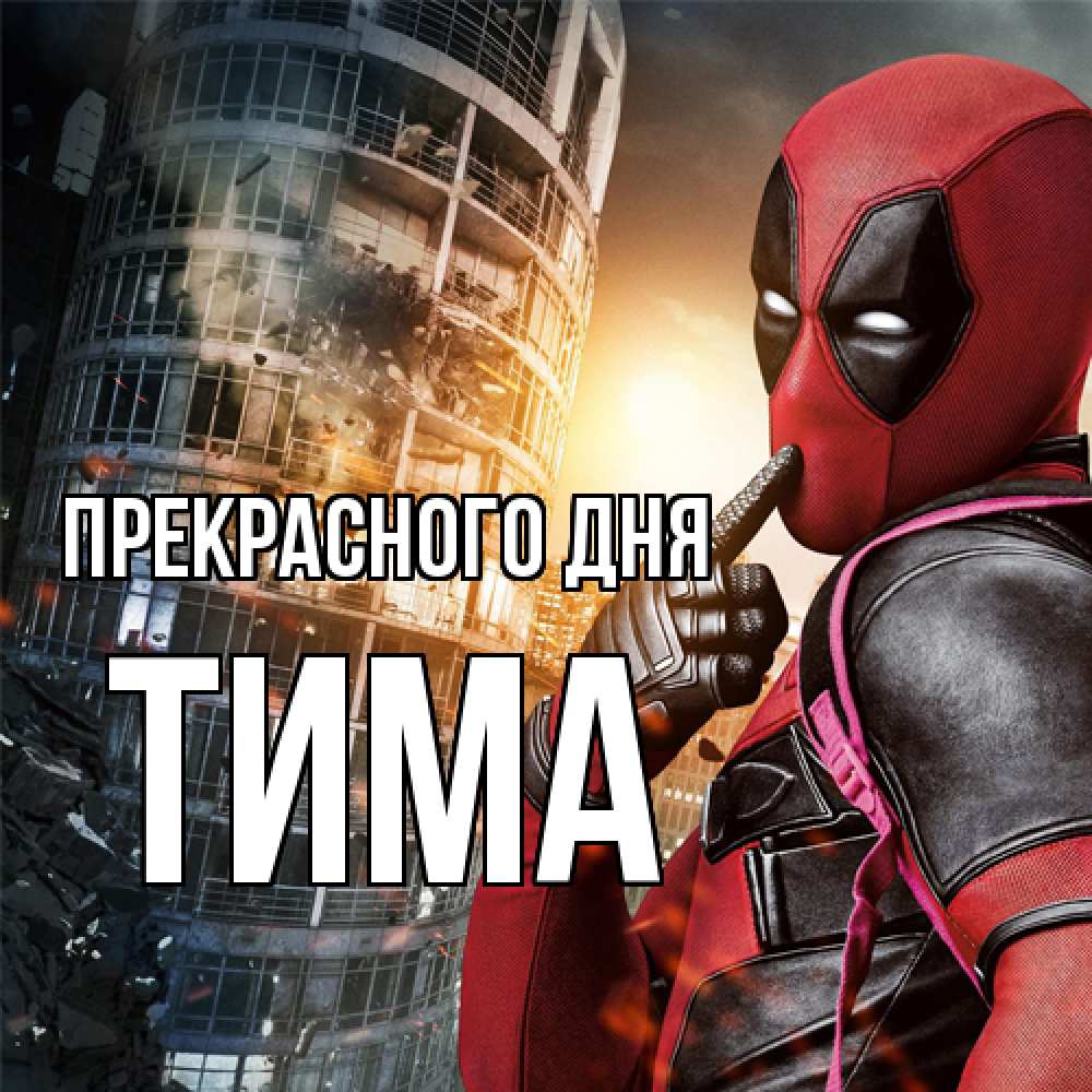 Открытка  с именем. Тима, Прекрасного дня  