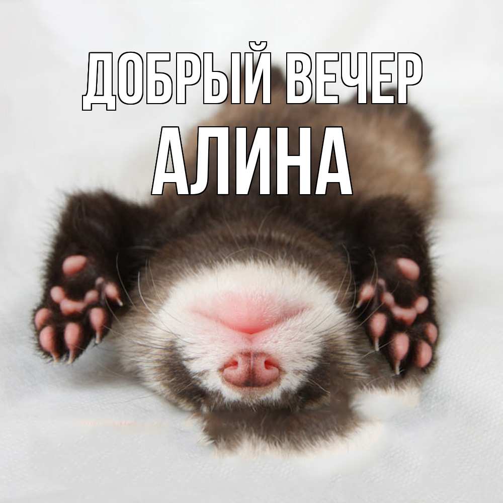 Открытка  с именем. Алина, Добрый вечер  