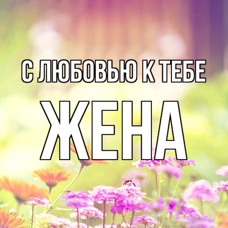 Картинка С любовью к тебе, Жена