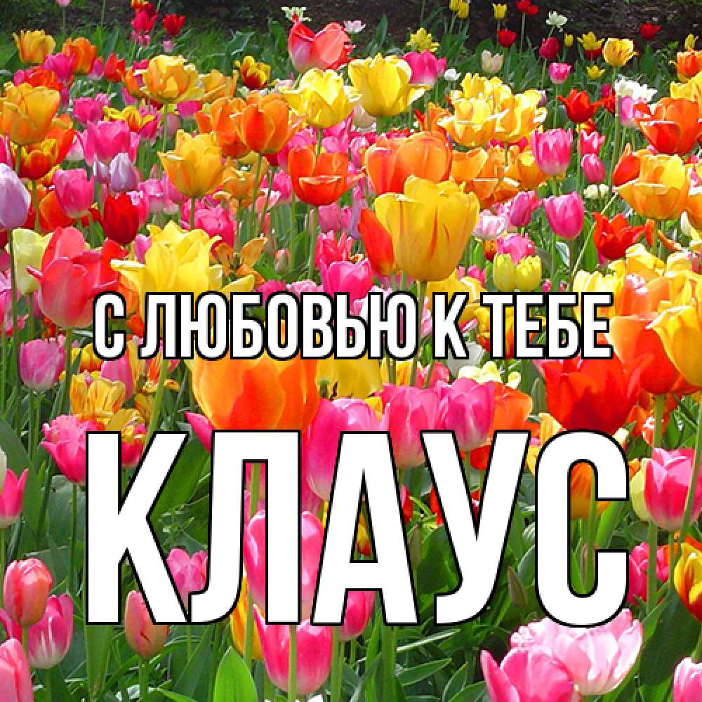 Открытка  с именем. Клаус, С любовью к тебе  