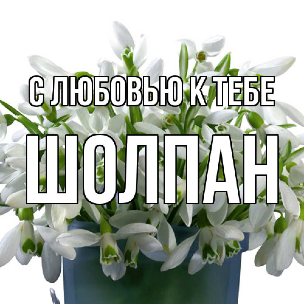 Открытка  с именем. Шолпан, С любовью к тебе  
