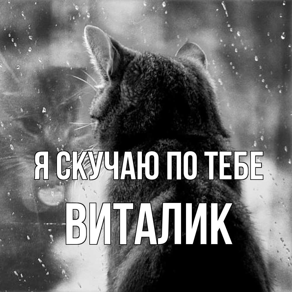 Открытка  с именем. Виталик, Я скучаю по тебе  