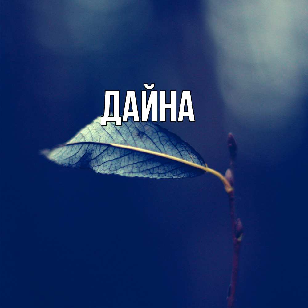 Открытка  с именем. Дайна, Главная  