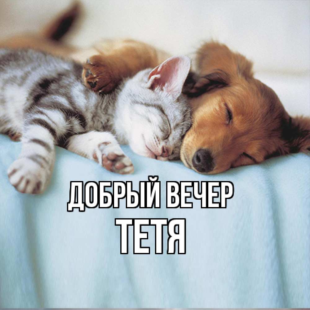 Открытка  с именем. Тетя, Добрый вечер  