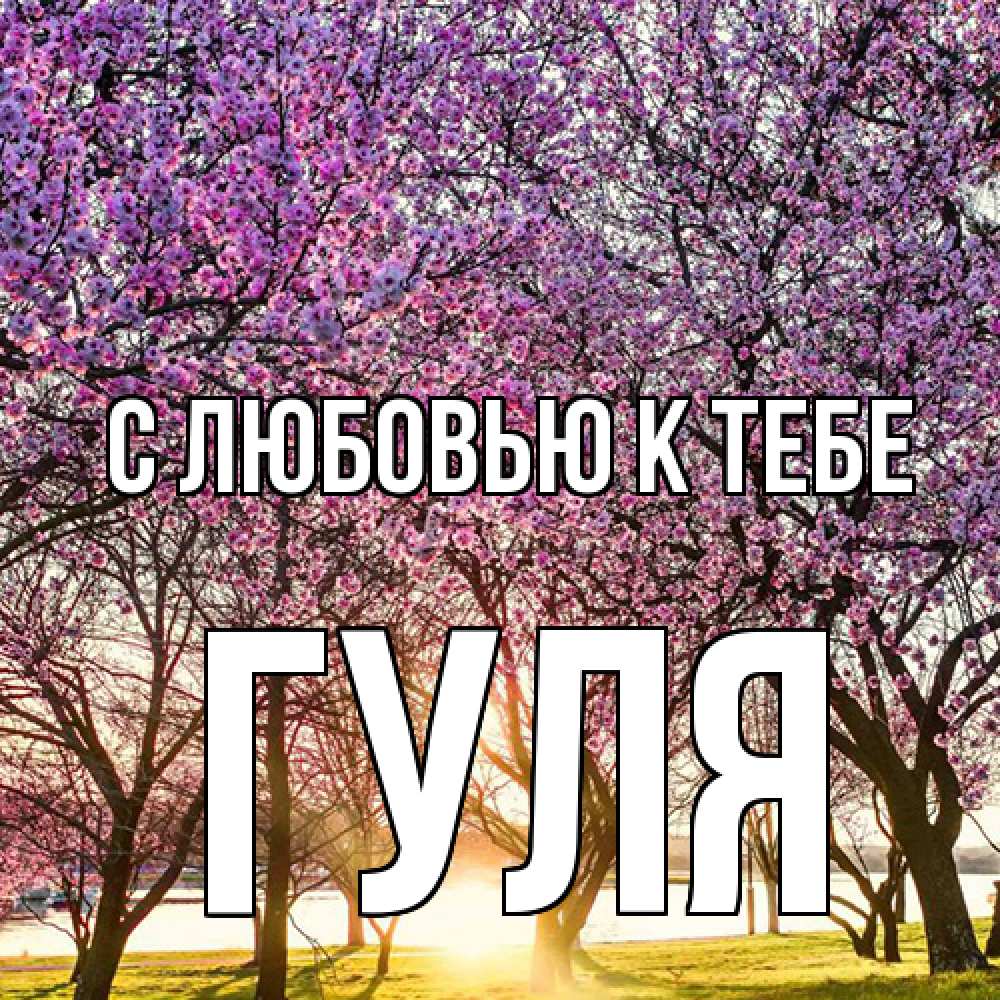 Открытка  с именем. Гуля, С любовью к тебе  