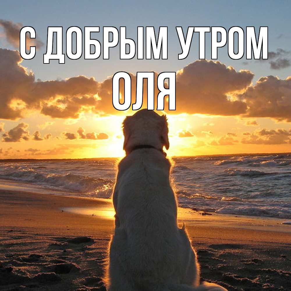 Открытка  с именем. Оля, С добрым утром  
