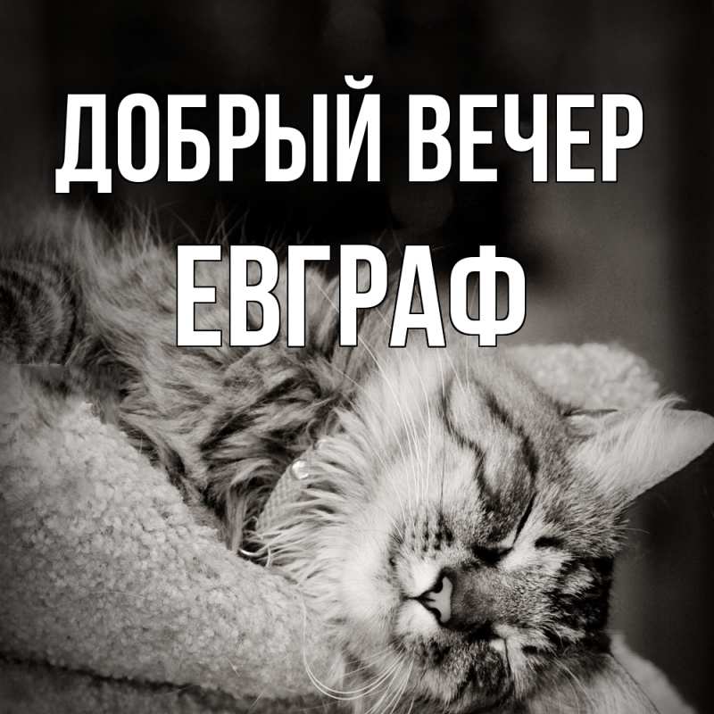 Картинка Добрый вечер, Евграф