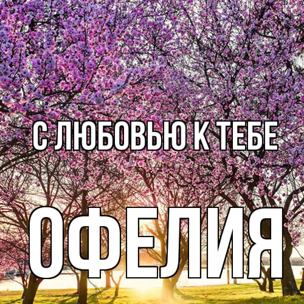 Открытка  с именем. Офелия, С любовью к тебе  