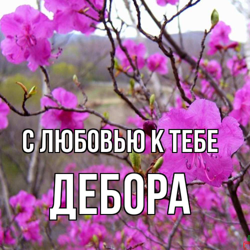 Открытка  с именем. Дебора, С любовью к тебе  