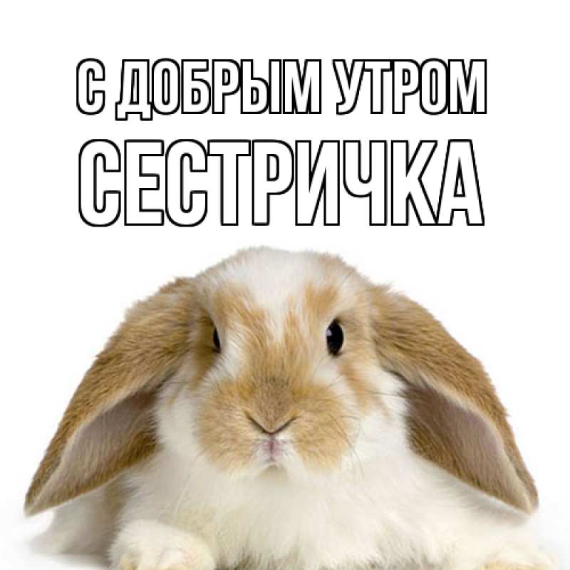 Картинка С добрым утром, Сестричка