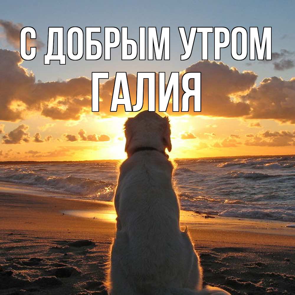 Открытка  с именем. Галия, С добрым утром  
