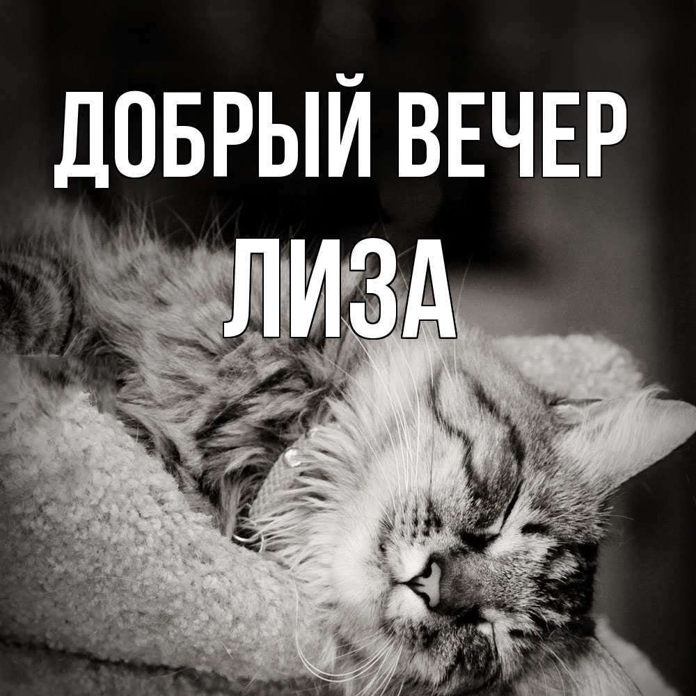 Открытка  с именем. Лиза, Добрый вечер  