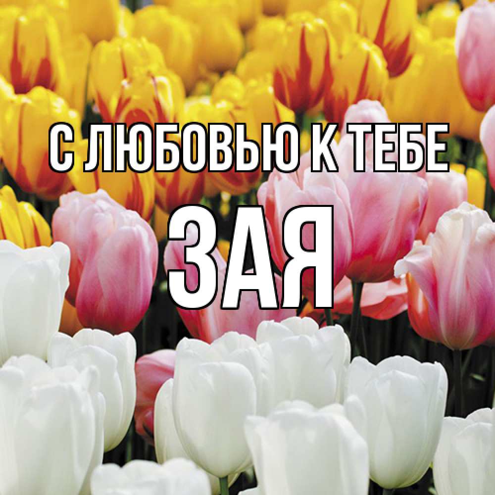Открытка  с именем. Зая, С любовью к тебе  