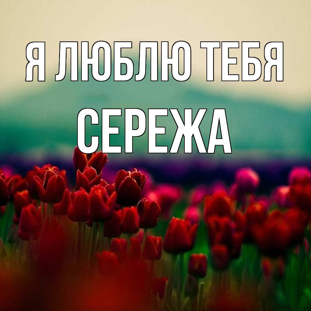 Открытка  с именем. СЕРЕЖа, Я люблю тебя  