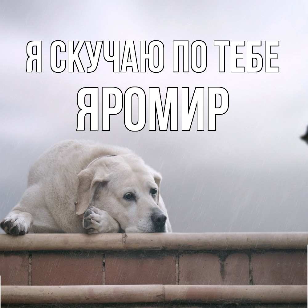 Открытка  с именем. Яромир, Я скучаю по тебе  