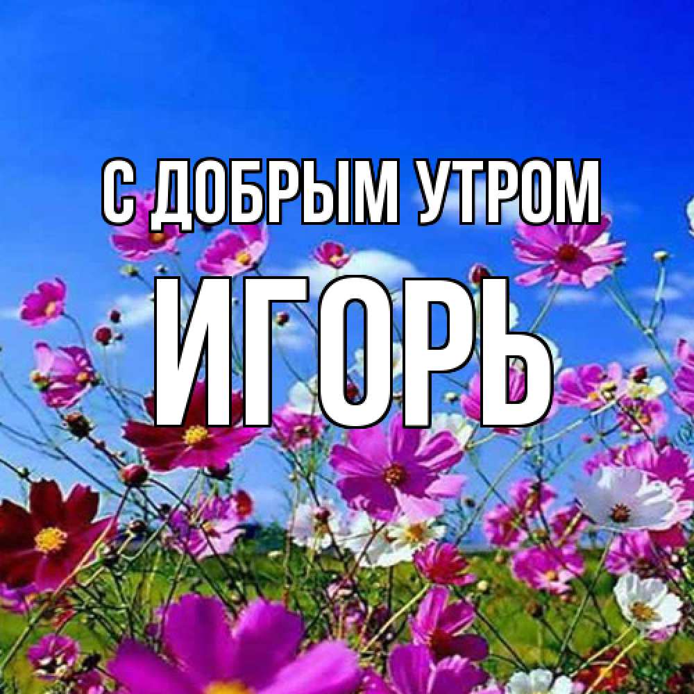 Открытка  с именем. Игорь, С добрым утром  