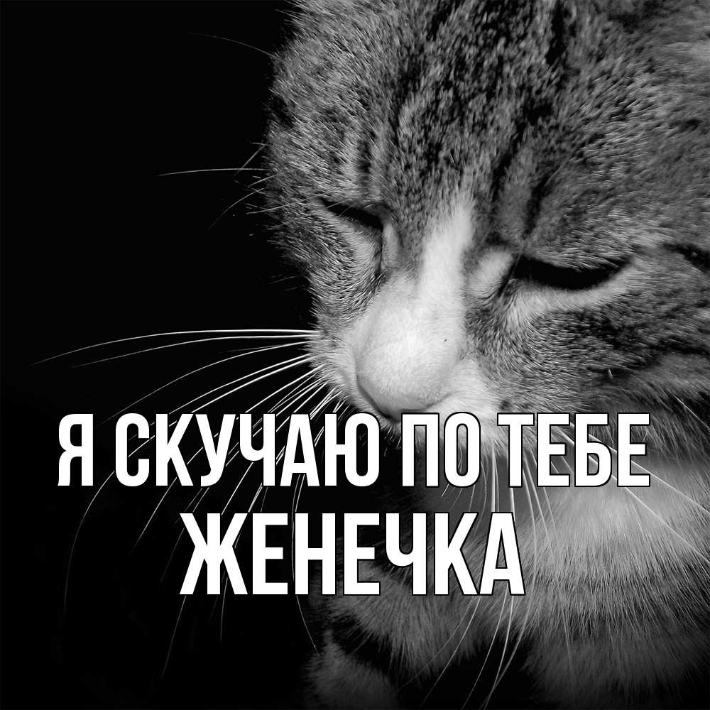 Открытка  с именем. Женечка, Я скучаю по тебе  
