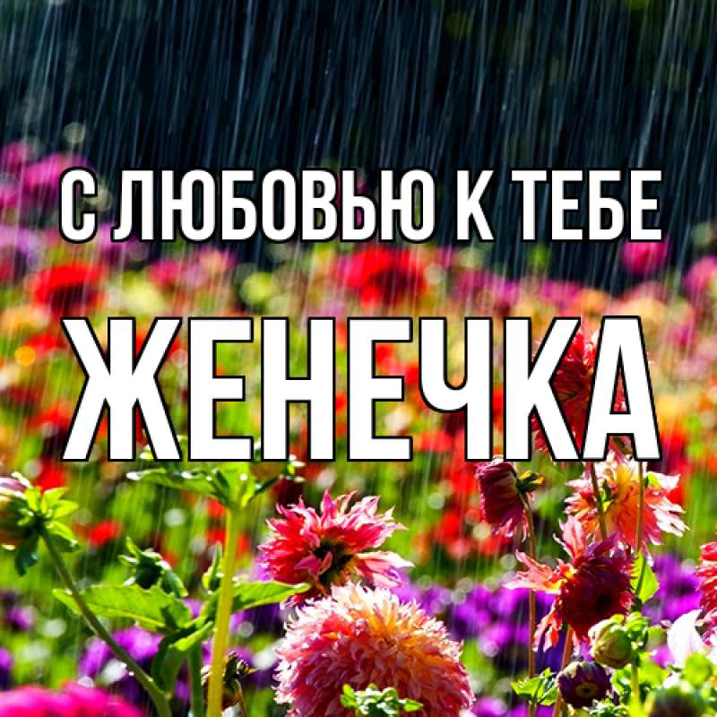 Картинка С любовью к тебе, Женечка