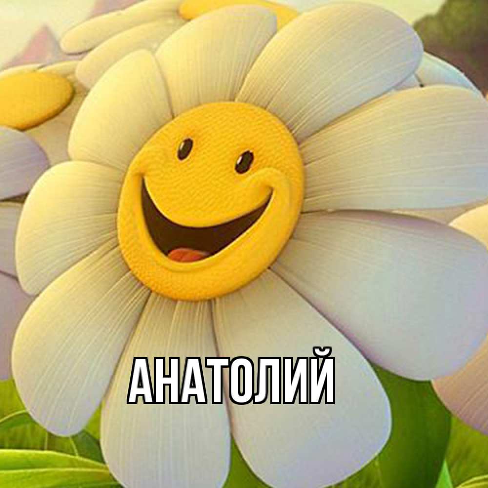 Открытка  с именем. Анатолий, Главная  