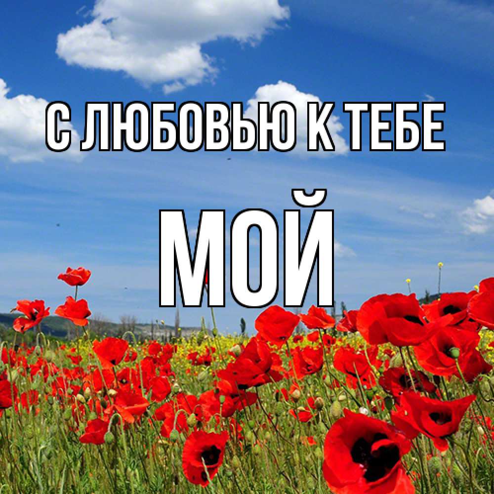 Открытка  с именем. Мой, С любовью к тебе  