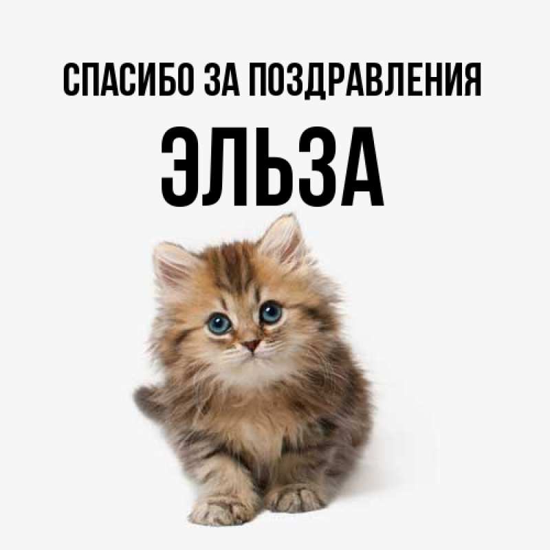 Картинка Спасибо за поздравления, Эльза