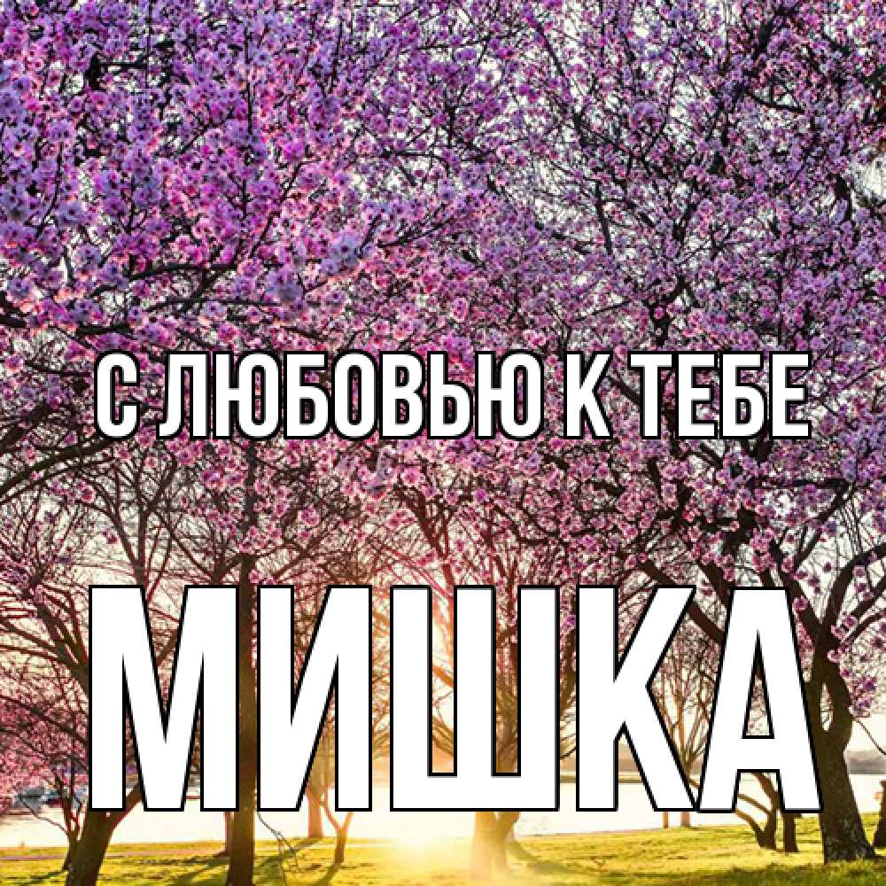 Открытка  с именем. Мишка, С любовью к тебе  