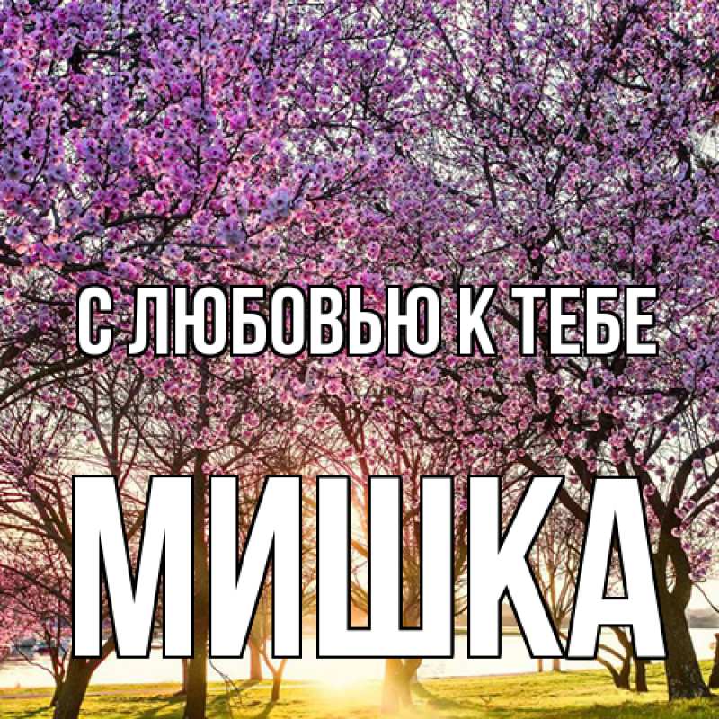 Картинка С любовью к тебе, Мишка
