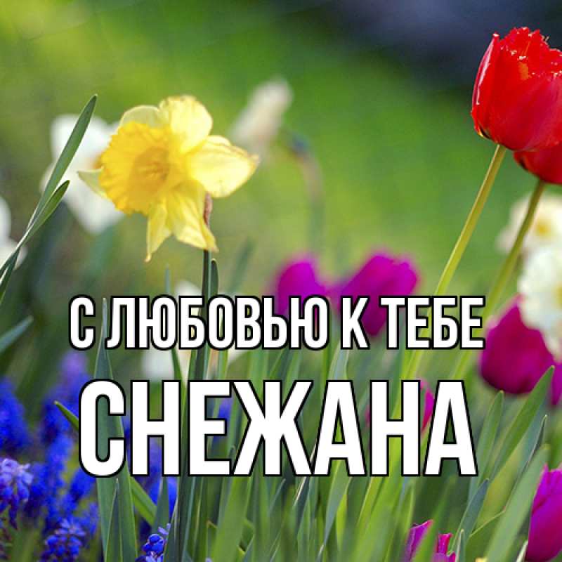 Картинка С любовью к тебе, Снежана