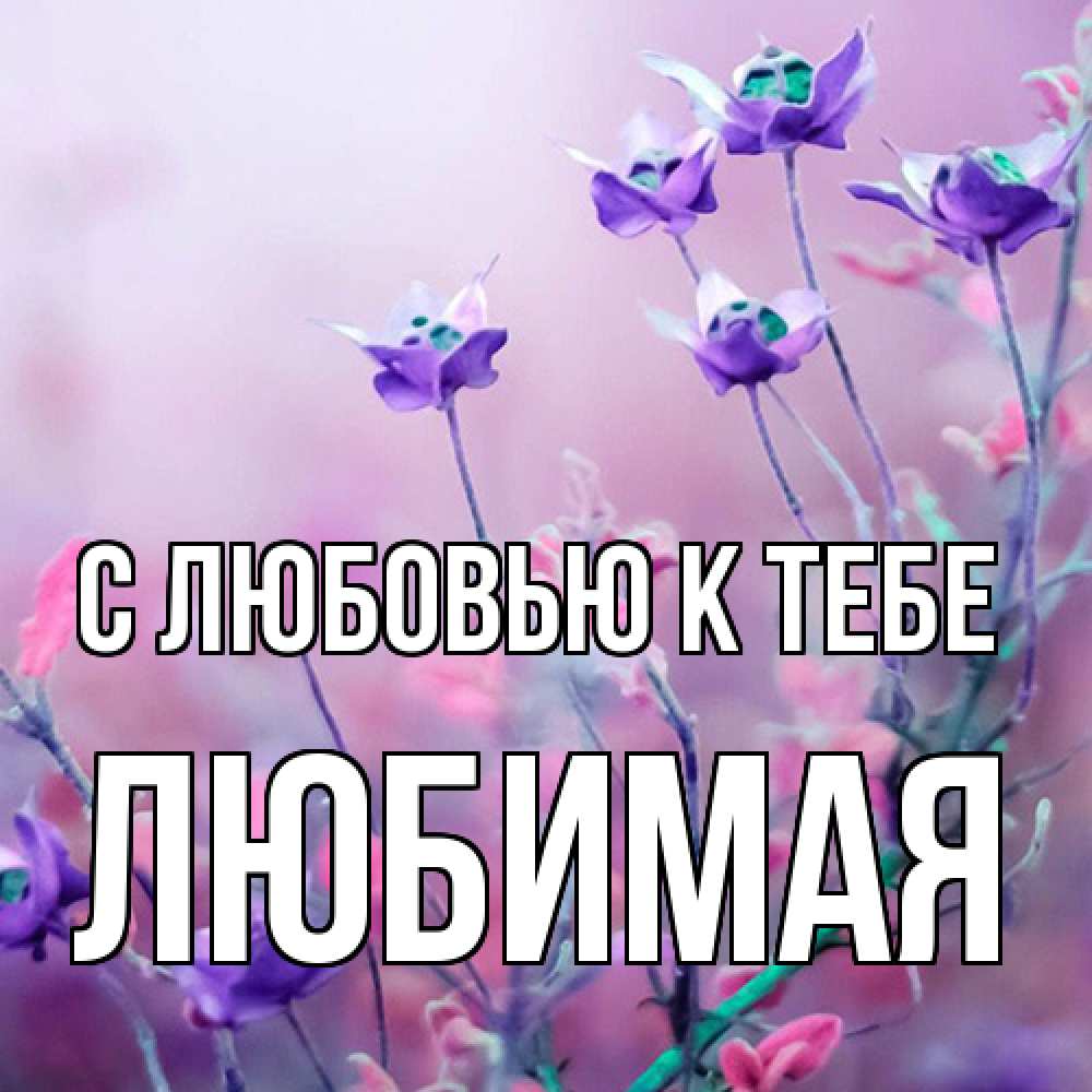 Открытка  с именем. Любимая, С любовью к тебе  