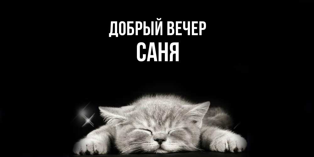 Открытка  с именем. Саня, Добрый вечер  